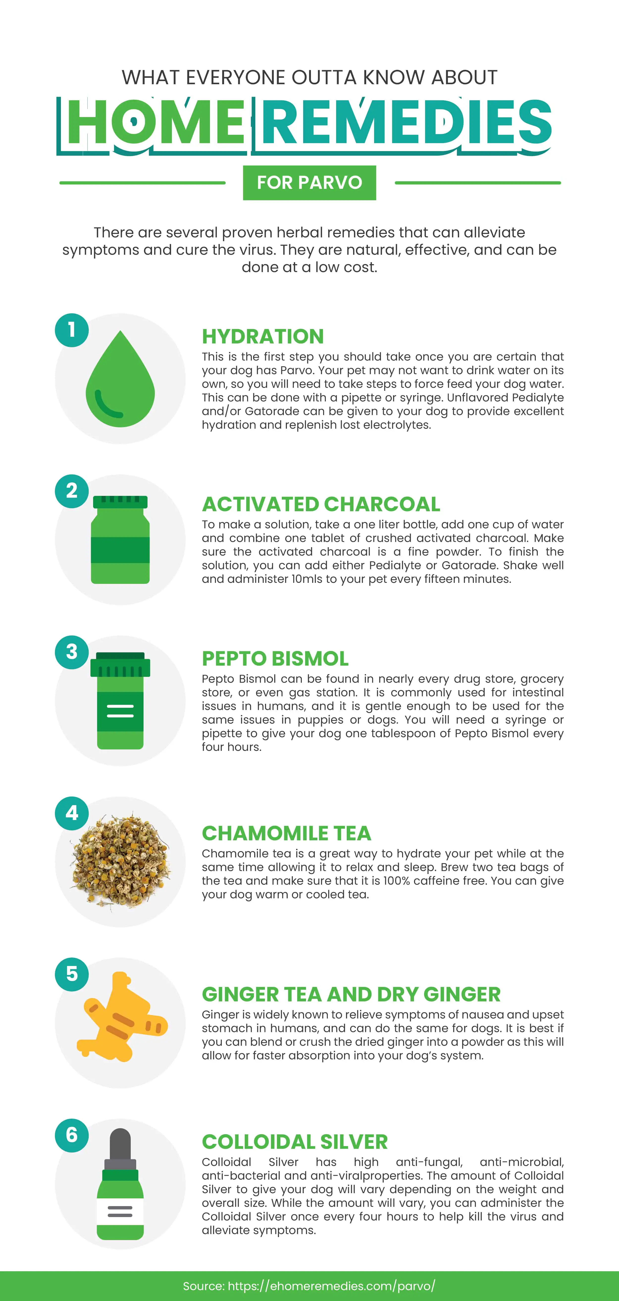 Home Remedies for Parvo Infographic