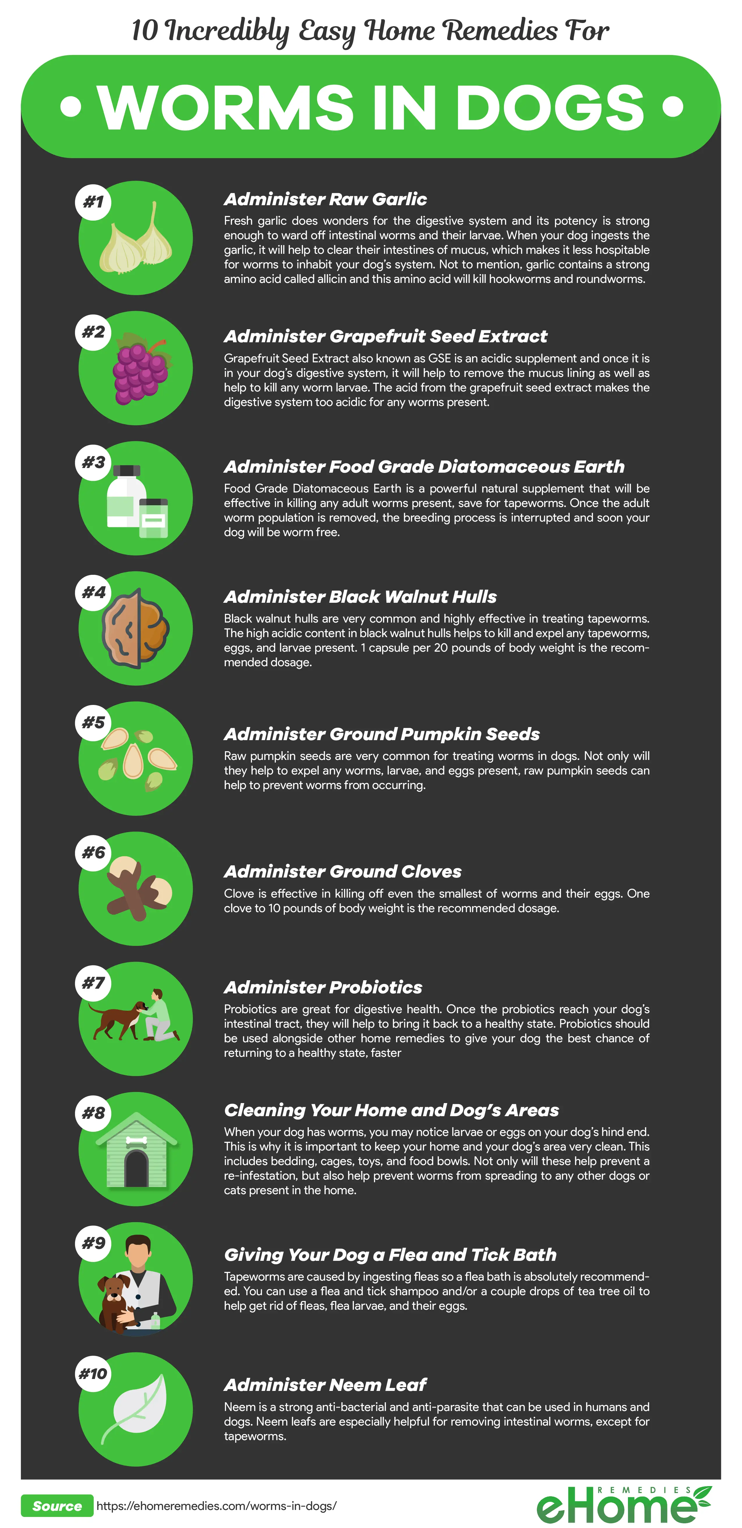 Home Remdies for Worms in Dogs Infographic
