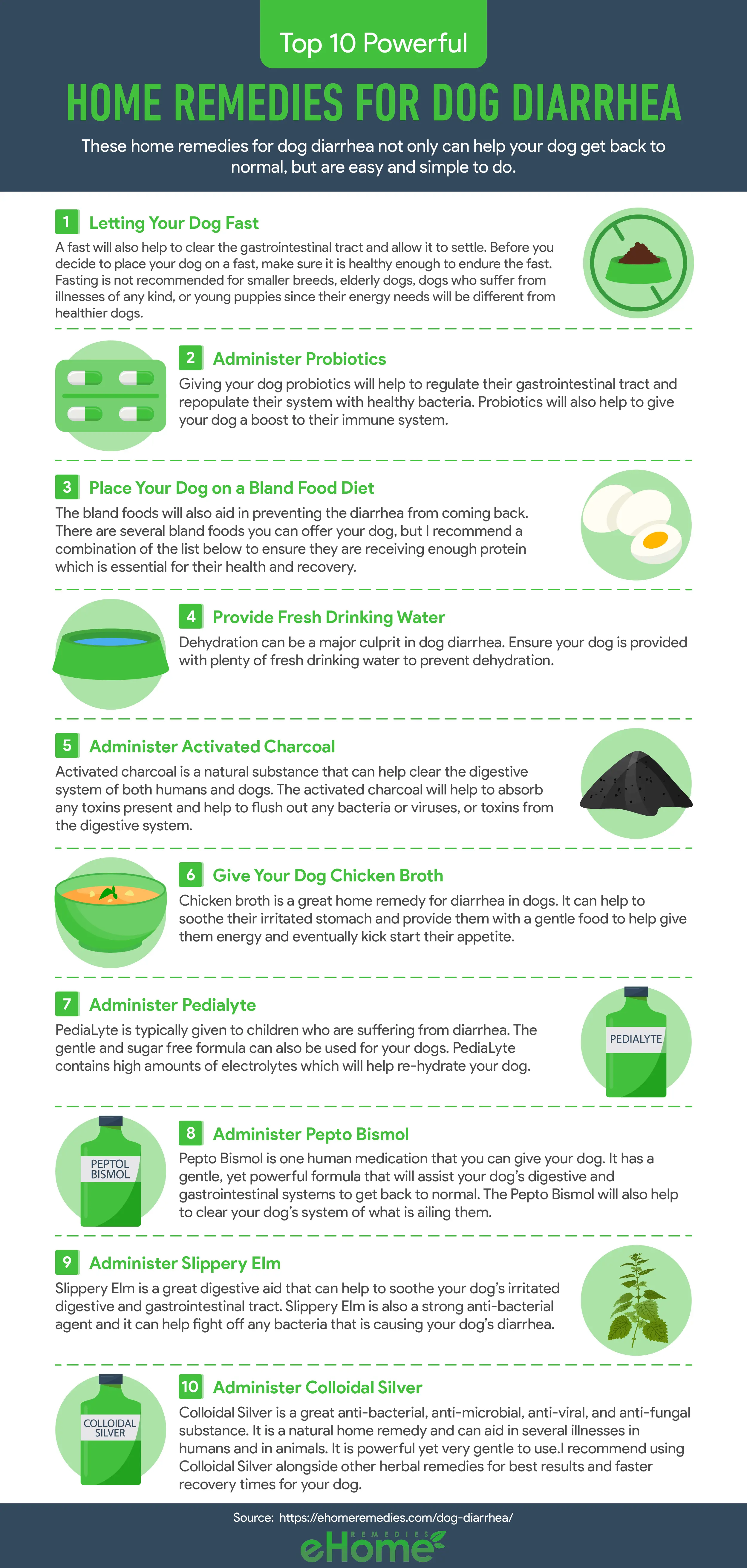 Home Remedies for Dog Diarrhea Infographic