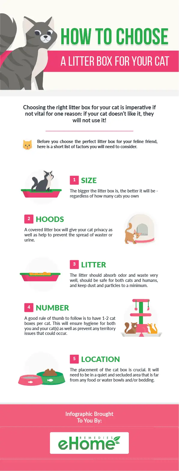 How to Choose a Litter Box for Your Cat Infographic